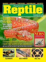 Practical Reptile Keeping